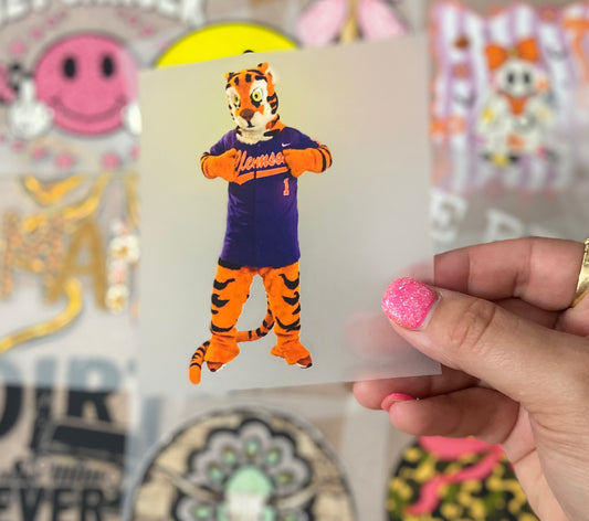 Football Mascots DTF Trucker Hat Patch Only