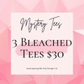 Mystery Bleached T-Shirts 3-pack