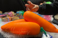 IN STOCK - Authentic Toymendous Squish Carrot