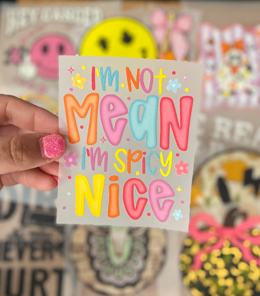 Spicy Nice DTF Trucker Hat Patch Only